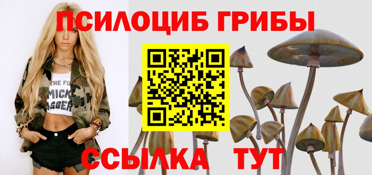 Псилоцибиновые грибы GOLDEN TEACHER  Вход с VPN  закладки  Псилоцибиновые грибы GOLDEN TEACHER  Чебоксары 
